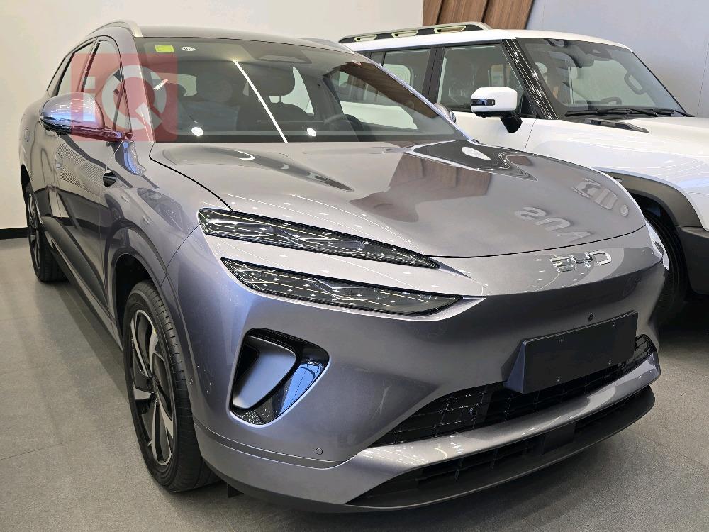 بي واي دي سيليون 06 DM-i